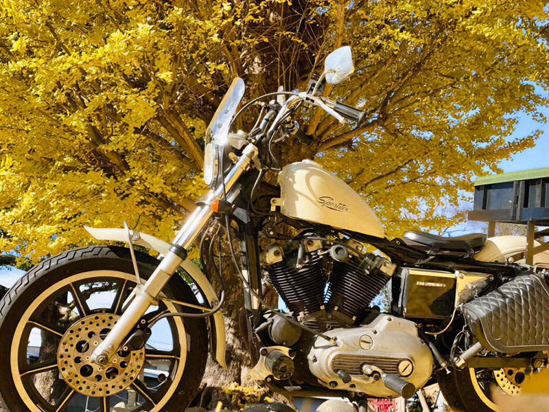 HARLEY-DAVIDSON スポーツスタータンク　最終価格　交渉不可 HARLEY-DAVIDSON スポーツスタータンク 最終価格 交渉不可