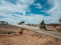【トライアンフ】モロッコで開催された「1000 DUNAS RAID」ハードトレイルカテゴリーでタイガー900ラリープロを駆るイヴァン・セルバンテス選手が優勝　メイン