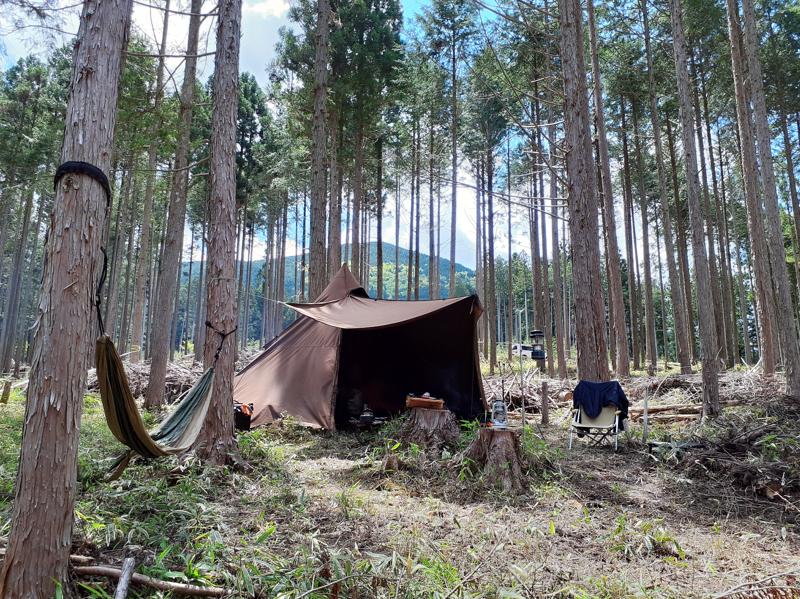 千葉市にキャンパー向け森林レンタル誕生！年間契約の「フォレンタ」で自由なキャンプを楽しもう！