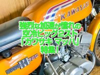「カワサキ・マッハシリーズ 」特集！強烈な加速が伝説を生んだ空冷ビッグ２ストトリプル！
