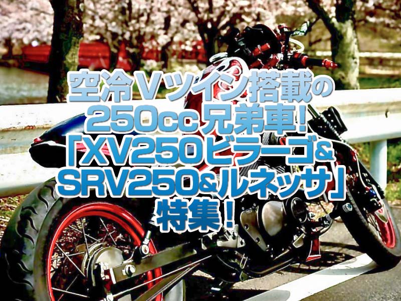 「ヤマハ・XV250ビラーゴ&SRV250&ルネッサ」特集！ヤマハの空冷Vツイン250ccエンジンを搭載した兄弟車！