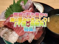 【千葉】「海鮮丼」特集！房総の彩り豊かな海の恵みがぎっしり！