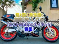 「２スト250ccネイキッド」特集！風を裂く疾走感と官能的な加速抜い酔いしれる！