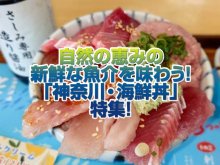 【神奈川】「海鮮丼」特集！自然の恵み豊かな新鮮な魚介をたらふく味わう！