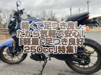 「軽量＆足つき良好250cc」特集！軽くて足つき良しだから気軽で安心して乗れる！