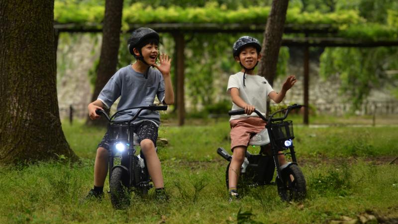 Acalieから子供も大人も楽しめる本格電動ミニバイク「EVEREST