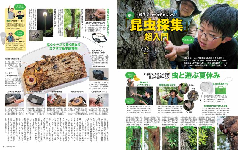500ml缶が8本入るBIGサイズ！