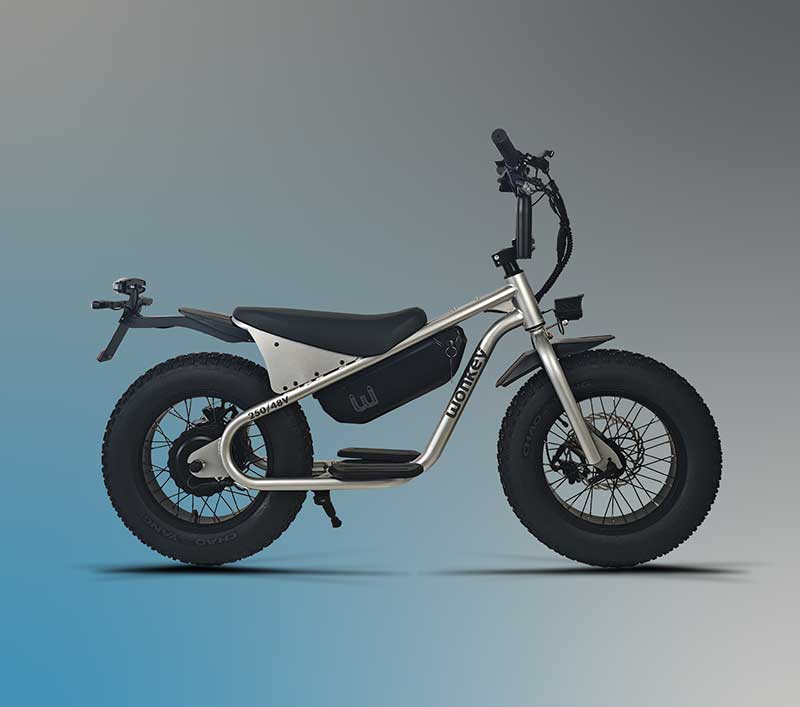特定小型原付「wonkey」シリーズに新色 SILVER が登場／36V・48V両モデルで12/12発売 記事1
