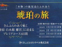 フェリーさんふらわあで航く鹿児島「琥珀の旅」発売／観光＆スイートルームを楽しむ3泊4日 メイン