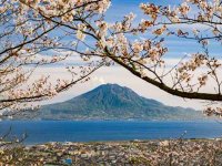 チャイナエアライン×鹿児島県×さんふらわあ、台湾向けに「フライ＆カジュアルクルーズ」共同キャンペーンを開始 メイン