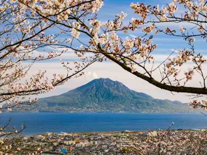 週末は鹿児島へ。フライ＆カジュアルクルーズで小旅行しよう