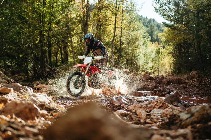 “公道対応×競技仕様”を両立 スペイン発Stark