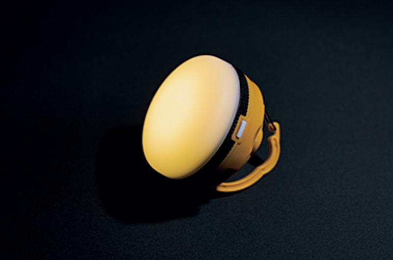 BE-PAL最新号の特別付録は、GRIP