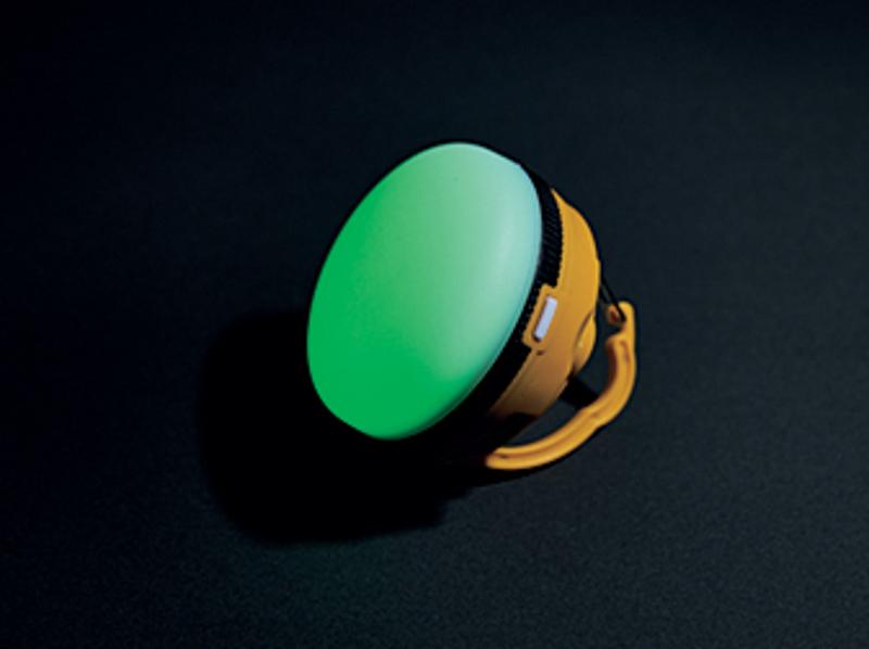 BE-PAL最新号の特別付録は、GRIP