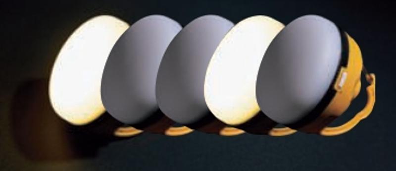 BE-PAL最新号の特別付録は、GRIP