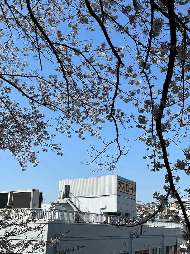 ラフアンドロード本社屋上にて「ラフロ祭」を3/28開催！ 最大70％オフ蔵出しセール＆ゲストオフ会も 記事5