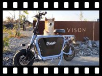 【マイクロモビリティ研究所】愛犬と乗れる原付一種「E-Carry Bike Doggie」試乗インプレ（動画あり） メイン