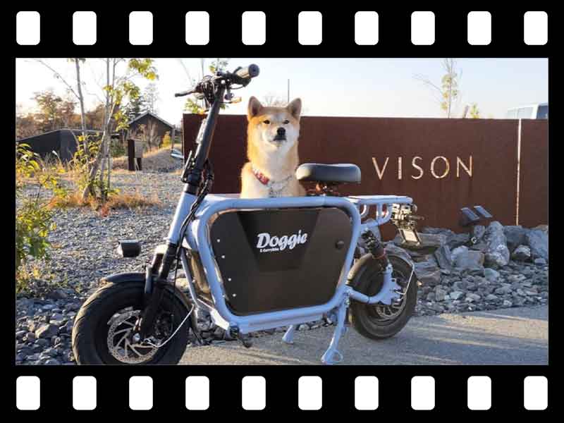 【マイクロモビリティ研究所】愛犬と乗れる原付一種「E-Carry Bike Doggie」試乗インプレ（動画あり）