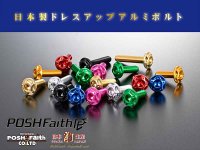 フロントフェイスを格上げする「ビレット スクリーンボルト」がポッシュフェイスから発売 メイン