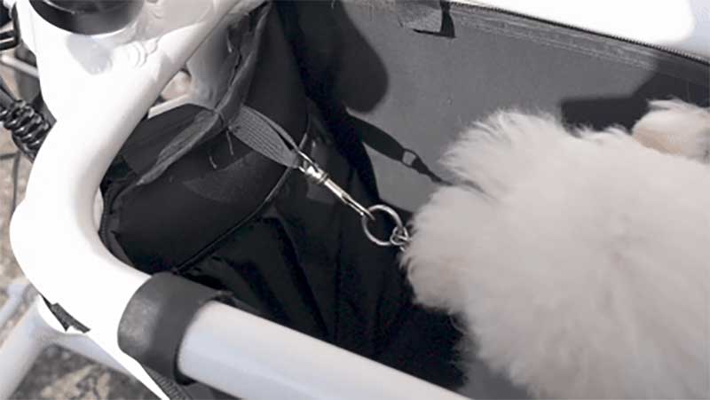 LBIRD/エルバード 記事2