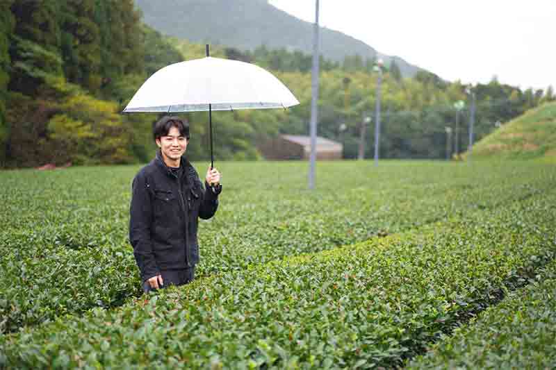 さんふらわあ大阪発クルーズにて、知覧茶ワークショップ開催へ　南九州市の観光PRも実施 記事2