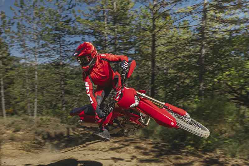 Desmo450 EDS 記事4