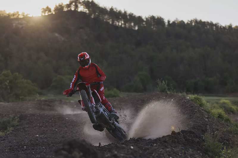 Desmo450 EDS 記事6