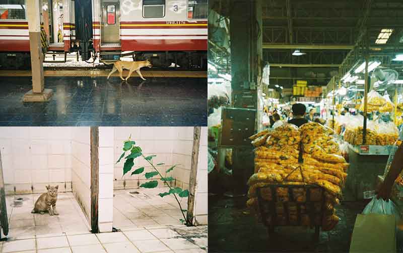 Chiaki Suzuki 氏の写真展「Sabai Sabai Everything will be alright」がユナイテッドカフェ宮ヶ瀬で9/2より開催 記事2