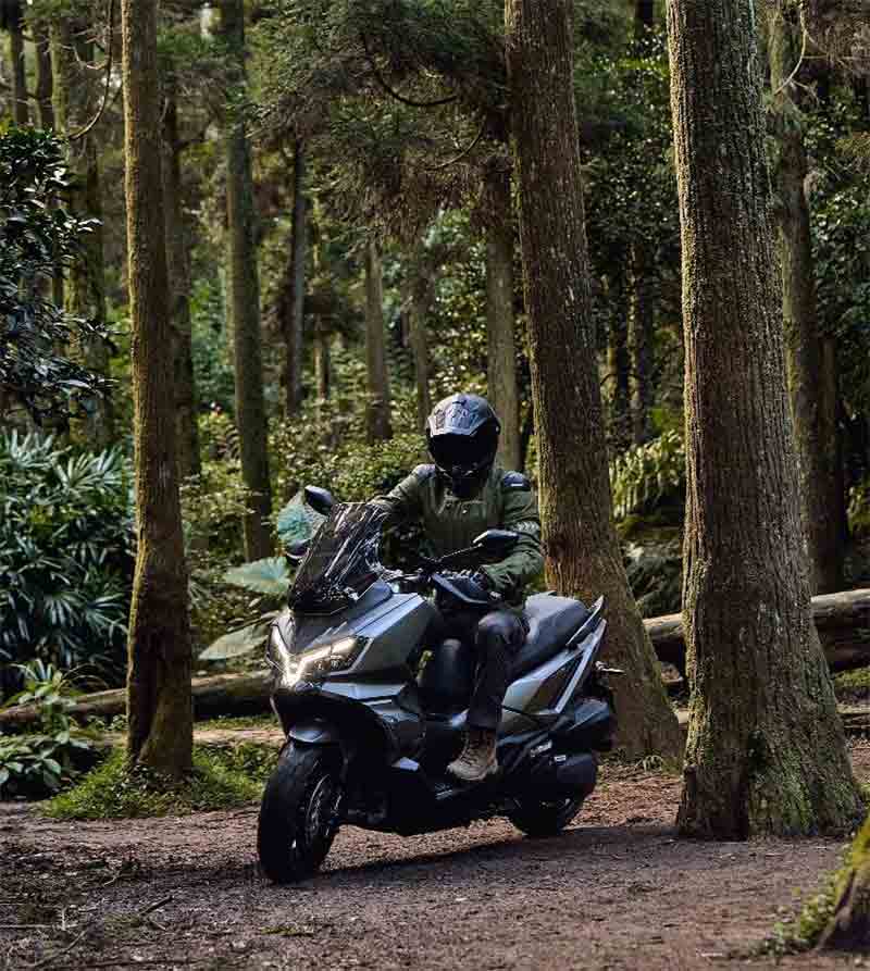 ADX250 記事2