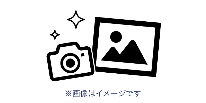 【モトクル】バイクイベント「モトクルDAY2026」9/22開催決定！ 南紀白浜空港で旧滑走路ラン・試乗会も（動画あり） 記事13