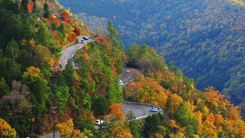 約20kmのロング試乗を京都・嵐山で。 「-バイカーズパラダイス-